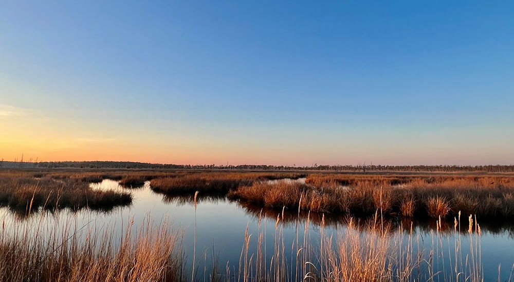 Sustentabilidade na Radiometer